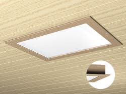 Helles Qualit&auml;ts-Farblichtsystem, dimmbar mit Fernbedienung, in die Decke integrierbar.